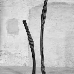 WINDIGE RAUMTRÄUMER, Robinie, H 160 + 250 cm, 2014